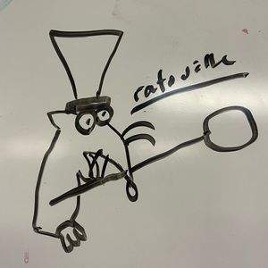 Meet your Posher, Rae